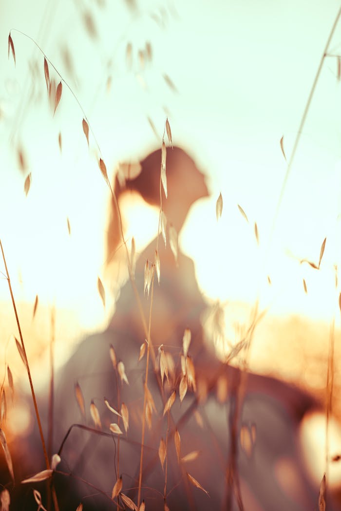 Artistic silhouette of a woman in a field at sunset, surrounded by fall grasses.