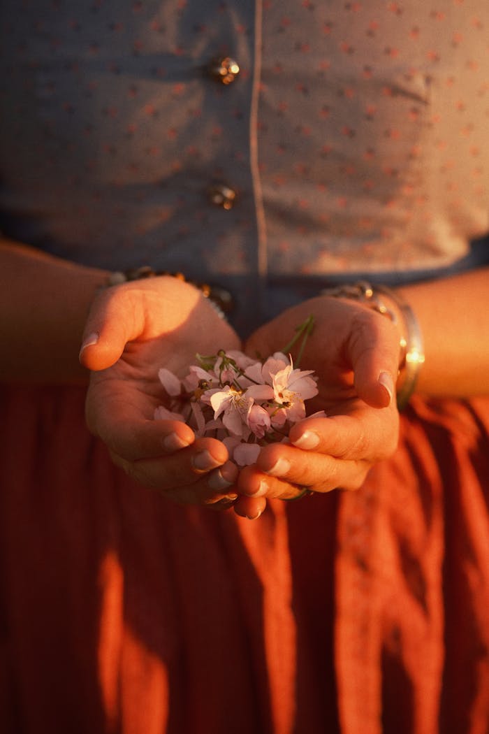 Warm sunset light on hands holding cherry blossoms, symbolizing tranquility and grace.